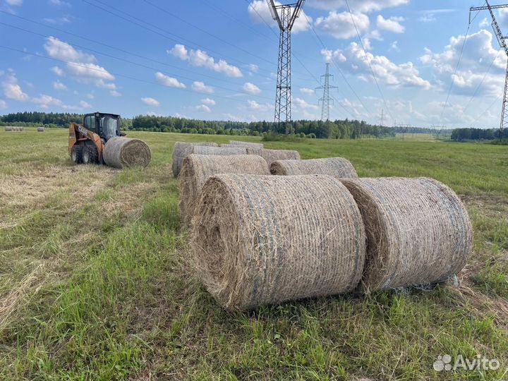 Продам сено в рулонах