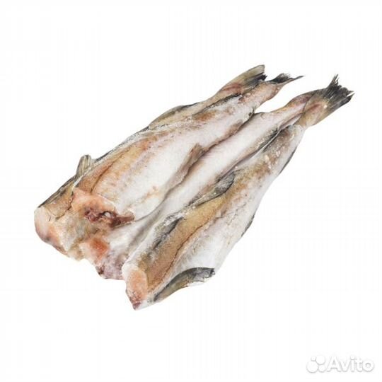 Предлагаю рыбу и морепродукты оптом и в розницу