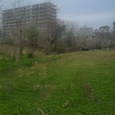 Участок 1600 м² (Грузия)