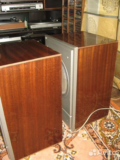 Акустическая система и магнитоэлектрофон Романтика