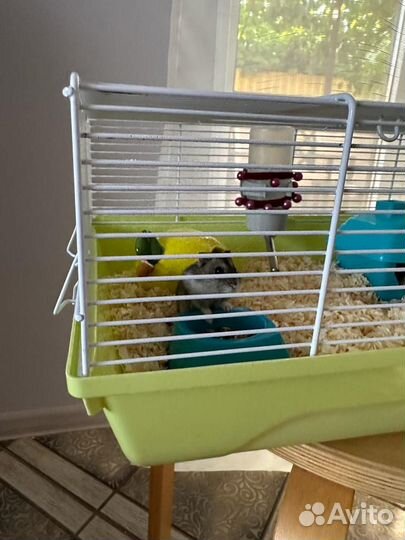 Клетка для хомяка