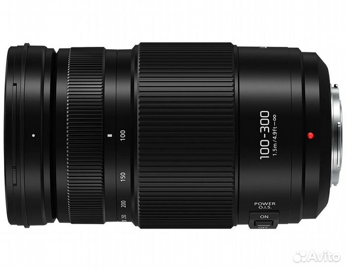 Panasonic Lumix G Vario H-FSA100300 100-300 4-5.6