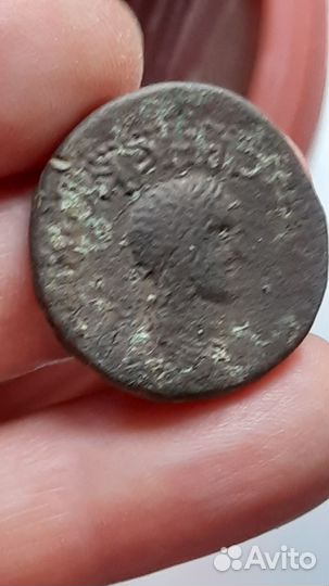 Монета Боспора