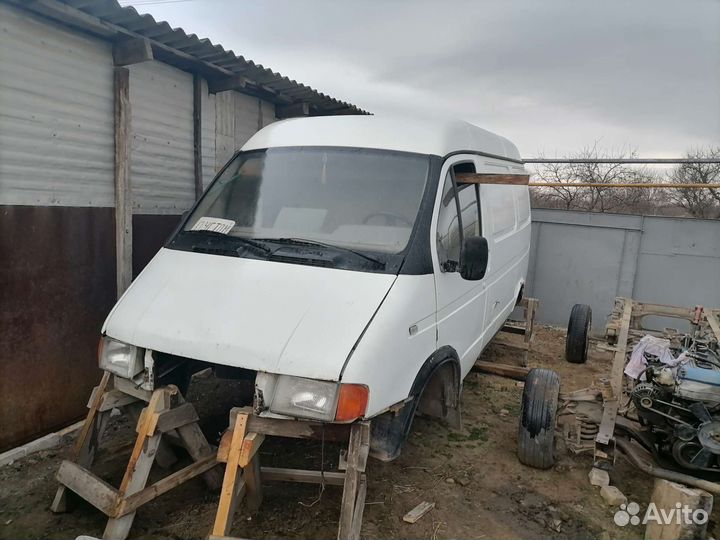 Газель соболь