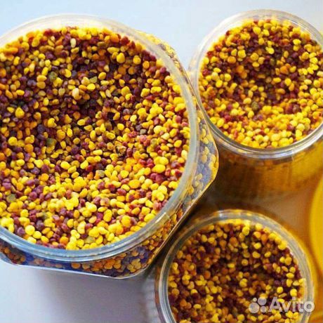 Пыльца цветочная оптом и в розницу
