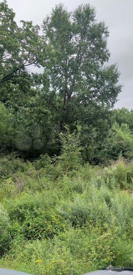 Участок 9 сот. (ИЖС)