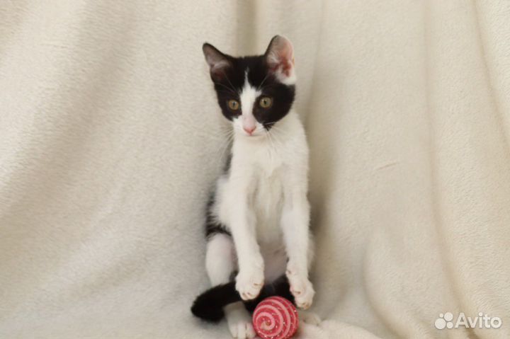 Мальчик 2,5 мес