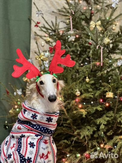 Новогодние рожки бабочка шапочки и бантик заколка