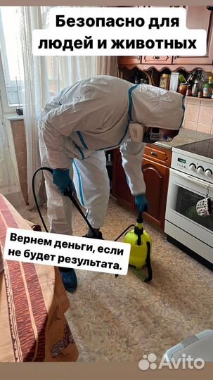 Дезинфекция от клопов тараканов, уничтожение