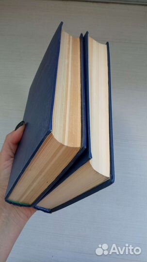 Лермонтов, стихотворения и поэмы, 2 тома