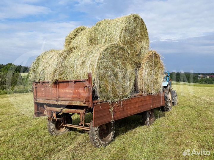 Сено в рулонных тюках