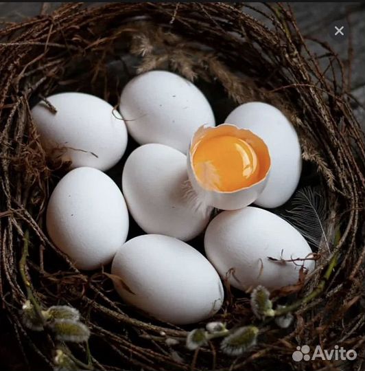 Козье молоко,яйца куриные