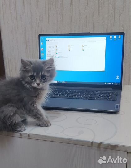 Новый ноутбук Lenovo 15