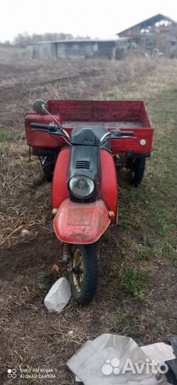 Продам муравья