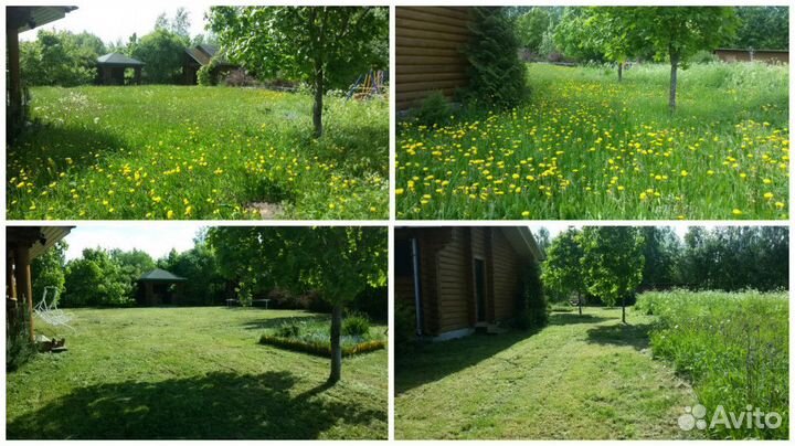 Покос травы и газона,спил деревьев