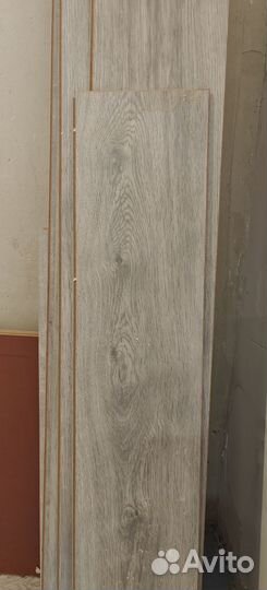 Отдам бесплатно