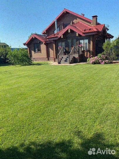 Рулонный газон от производителя