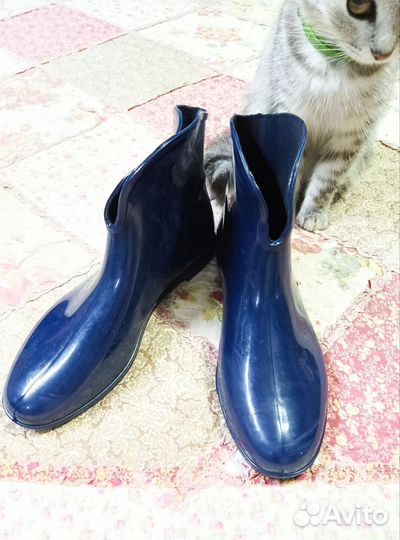 Резиновые сапоги