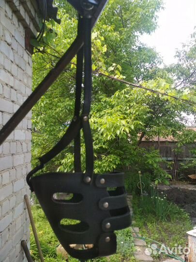 Для кошек и собак