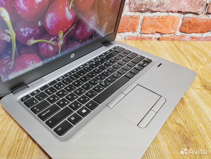 Ноутбук 8gb AMD PRO A8 HP EliteBook 725 G3 Игровой