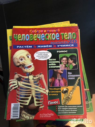 Журнал собери и познай Артема скелет