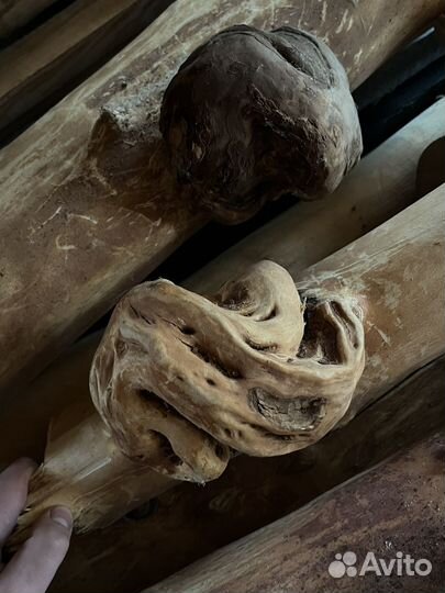 Березовый кап, сувель