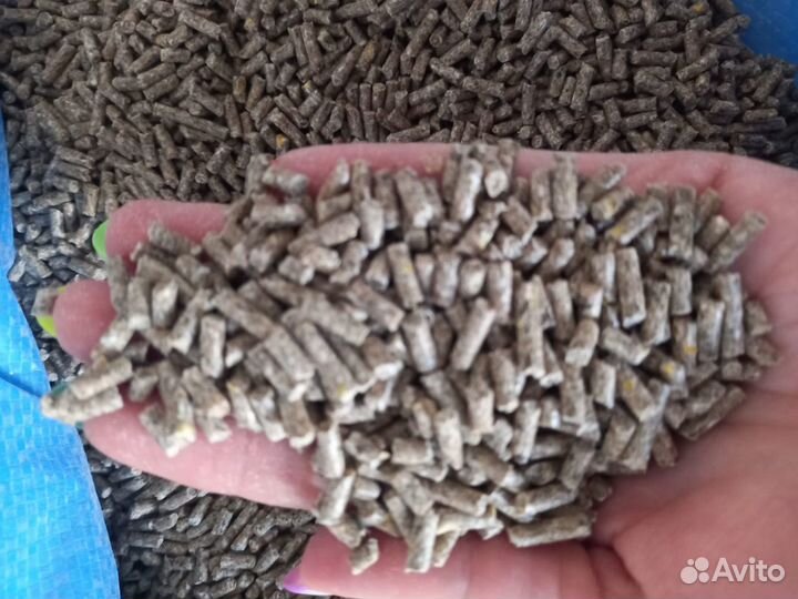 Ком-м пк12 г.Шуя сытный для индейки рост