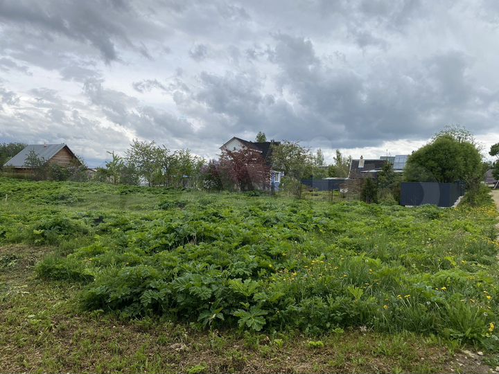 Участок 15 га (ИЖС)