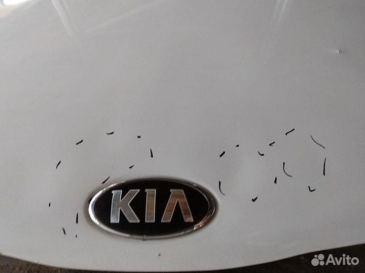 Капот Kia Rio