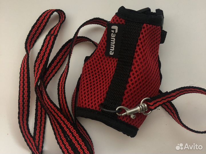 Шлейка для крыски