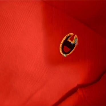 Худи champion оригинал