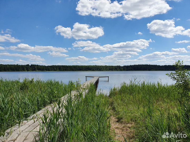 Музыкальный лагерь для детей на Белом озере