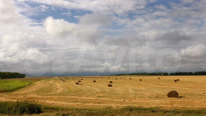 Участок 2,44 га (СНТ, ДНП)