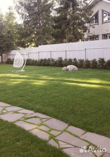 Рулонный газон