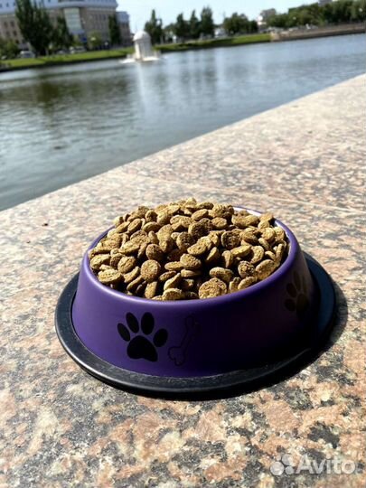 Сухой корм для собак 15 кг
