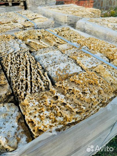 Камень ракушечник