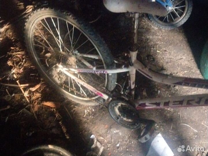 Полности одам