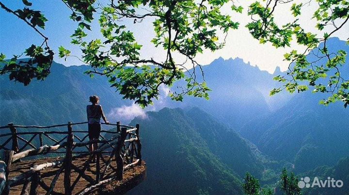 Индивидуальный тур в Абхазию. Целый день