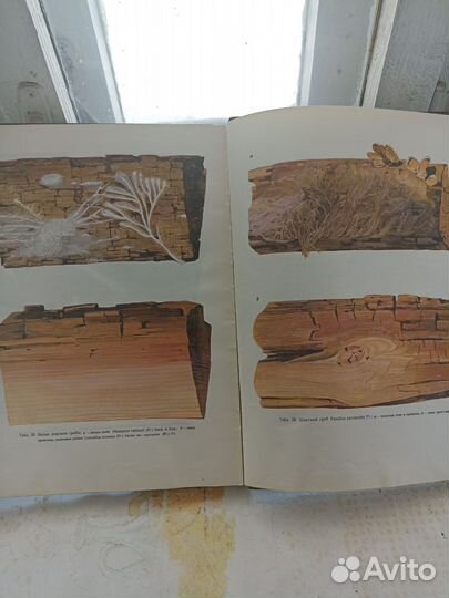 Книга-альбом