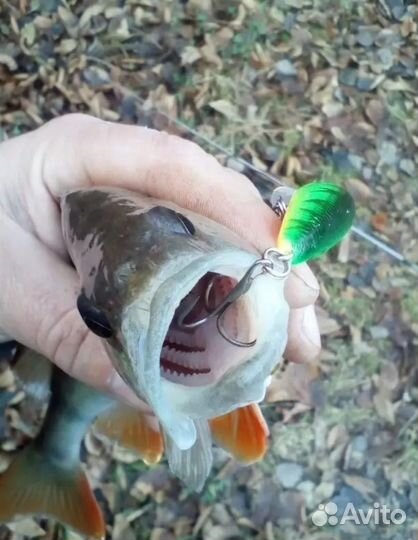 Воблер, раттлин, поппер, шарнирный воблер и тд