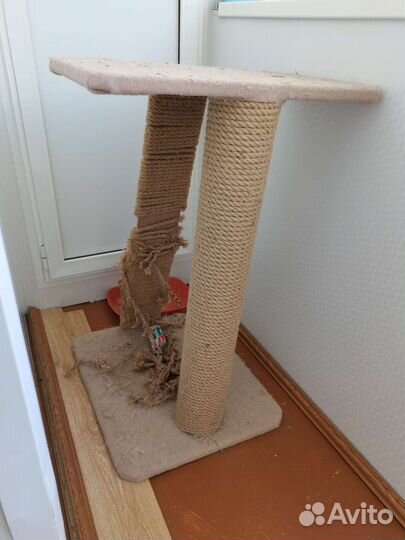 Когтеточка