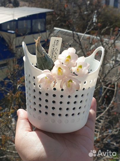 Корзинка для хранения, органайзер для мелочей