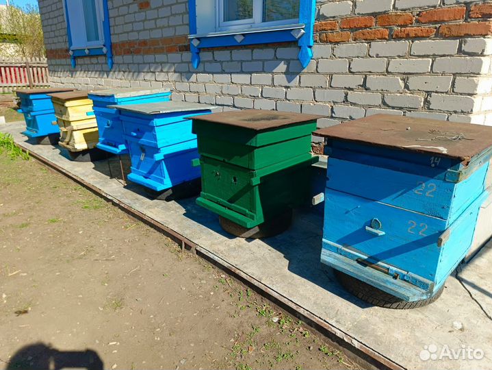 Ульи для пчел