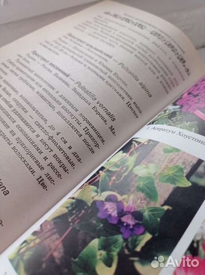 Книги о декоративных растениях