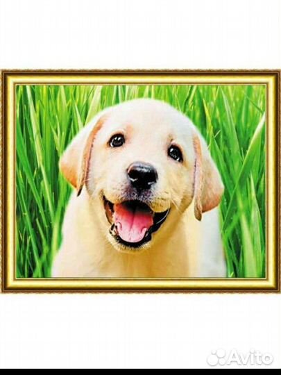 Алмазная мозаика набор 40 на 50 на подрамнике