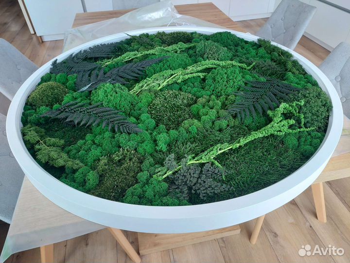 Панно из стабилизированного мха с подсветкой