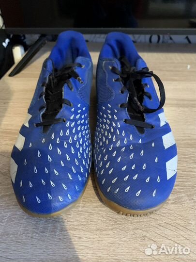 Футзалки adidas predator