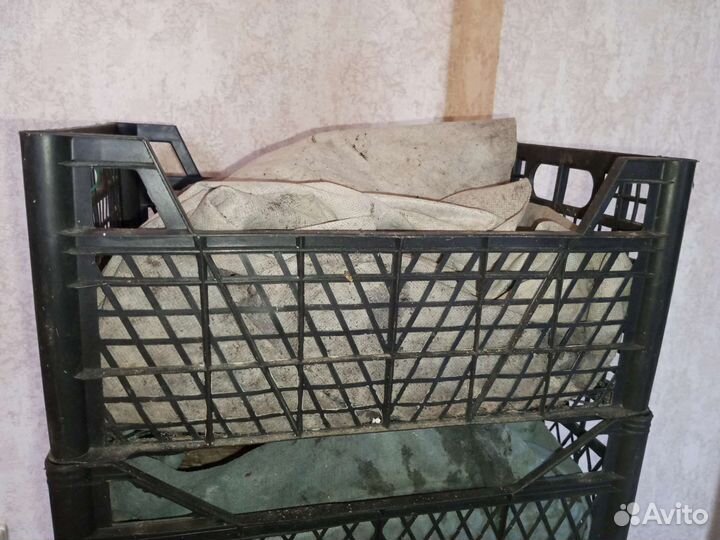 Червь Навозный. Маточная семья