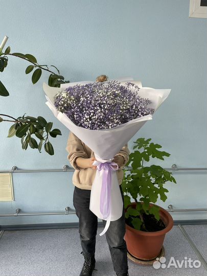 Букет гипсофила