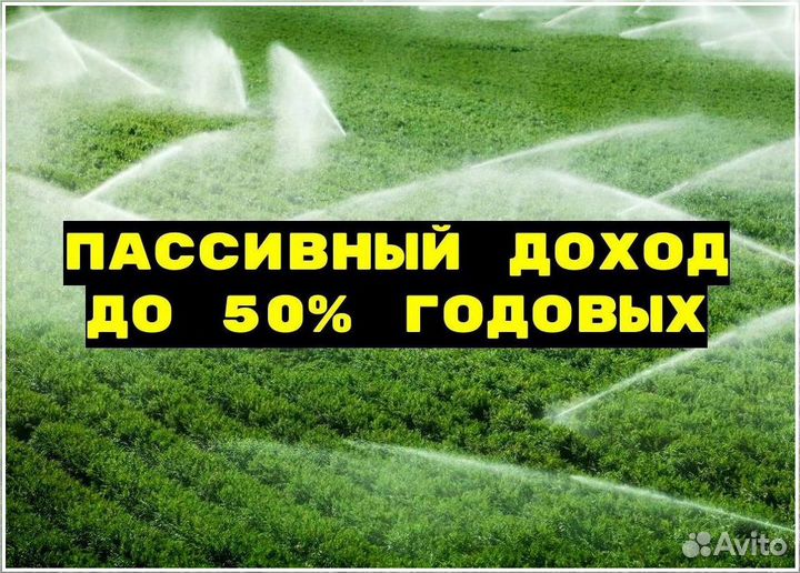 Инвестиции с гарантией дохода